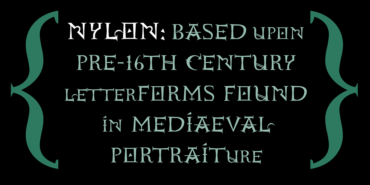 Nylon & Draylon, a Serif Font by Barnbrook Fonts (Photo 2 of 6)