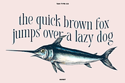 TAN - EGRET, a Serif Font by TanType (Thumbnail 2 of 19)