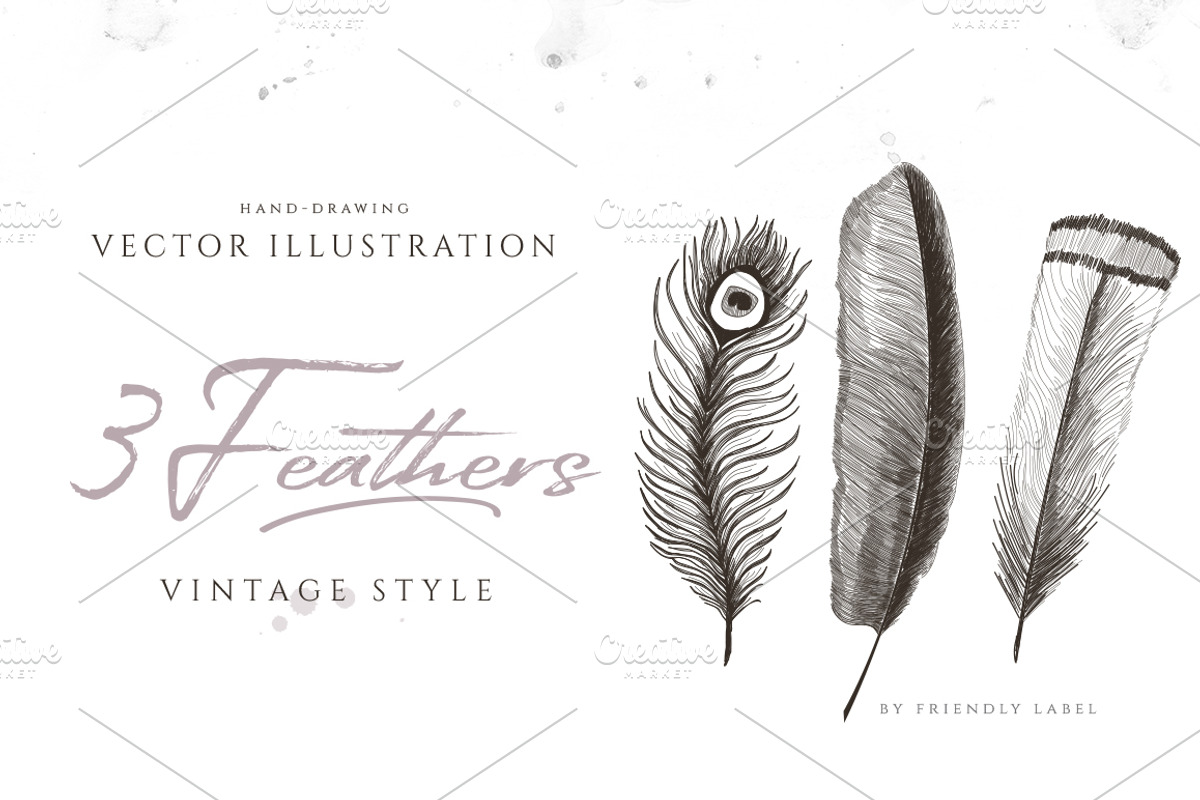 3 FEATHERS ILLUSTRATIONS, an Illustration by Friendly Label (Photo 1 of 2)