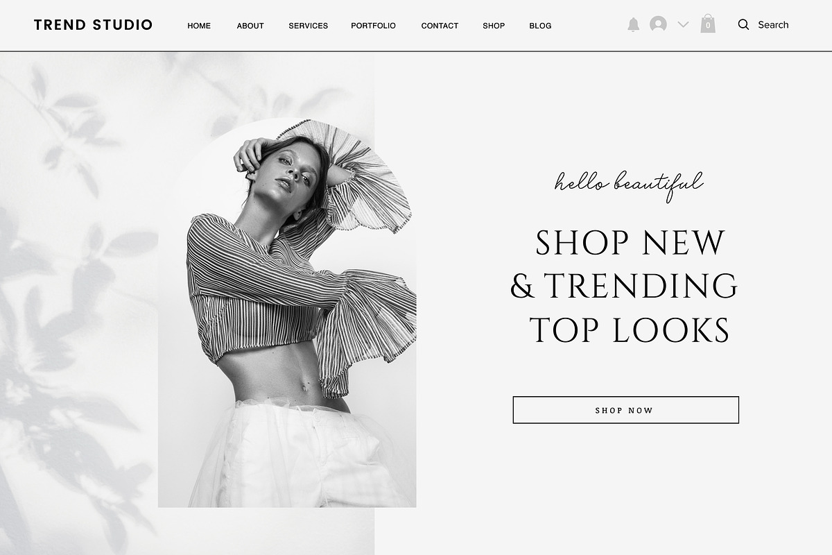 Ecommerce Wix Website Template, a Wix Template by Studio Luxe Creative (Photo 1 of 12)