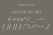 Palm Beach Modern Script Font, a Script Font by Muntab_Art (Thumbnail 10 of 10)