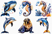 Watercolor Ocean Animals Clipart, an Illustration by Craft Nest (Thumbnail 4 of 11)