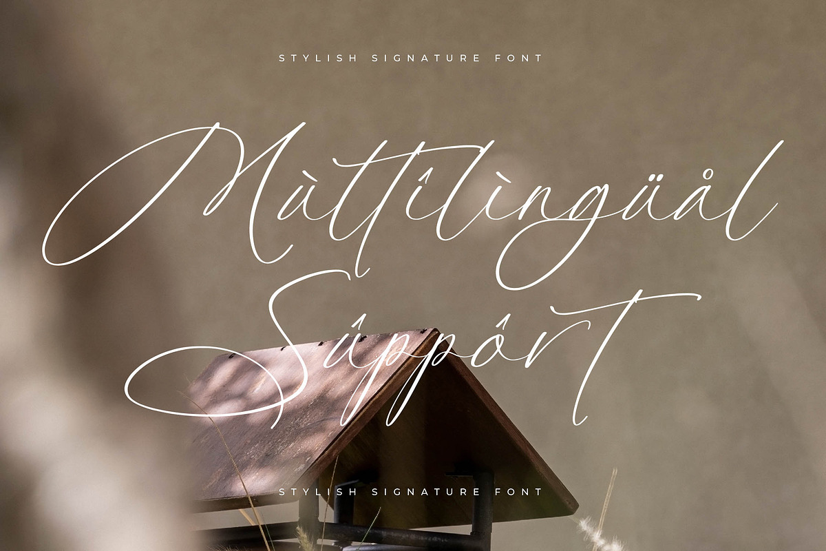Platimye Stylish Signature Font, a Script Font by Letterena Studios Script (Photo 12 of 15)