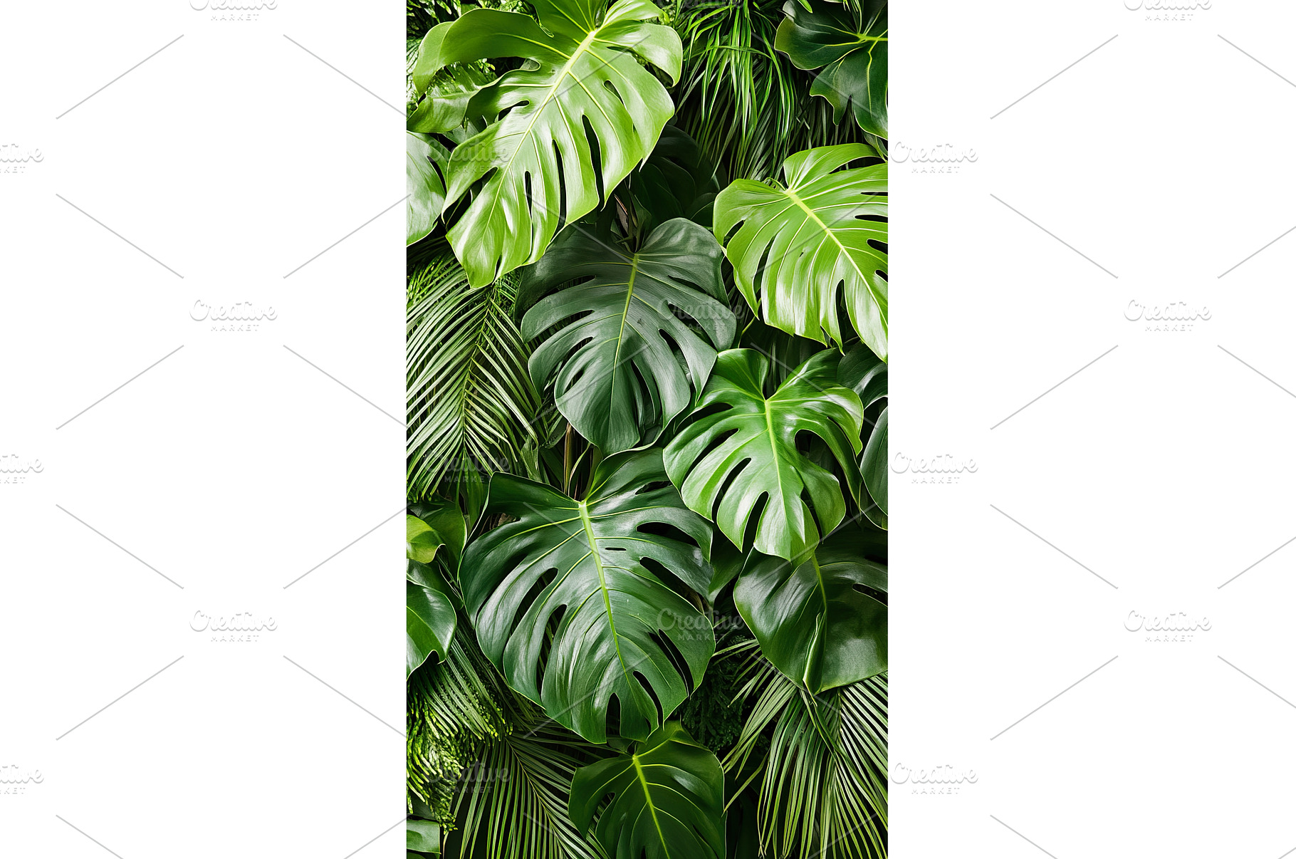 Lush green monstera leaves creating, a Nature Photo by Lermont51