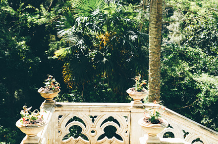 Stone stairs in lush Sintra garden
