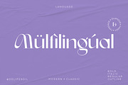 Doky Classic Modern Typeface, a Serif Font by delipensil (Thumbnail 8 of 11)