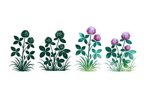 Clover set. St. Patrick's Day, an Object Illustration by Nenahliadava Design