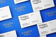 Folker Typeface, a Serif Font by Megatype (Thumbnail 15 of 15)