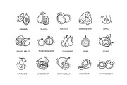 Fruits, Exotic Fruits icons, a Food Illustration by Tettygreen (Thumbnail 2 of 3)