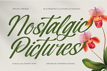 Nostalgic Pictures Calligraphy Font
