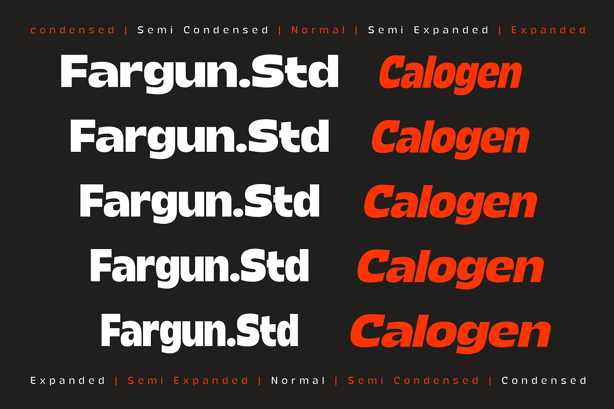 Calogen, a Sans Serif Font by Fargun Studio (Photo 3 of 15)