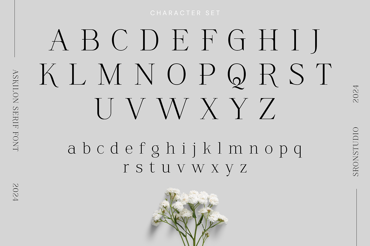 Askilon - Beautiful Serif Font, a Serif Font by Sronstudio (Photo 11 of 13)
