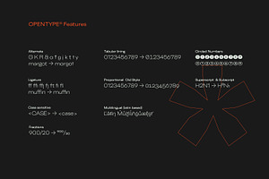 Belfast Grotesk Grotesque Font