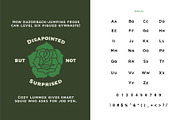 Veneer, a Serif Font by Loudoun Design Co. (Thumbnail 8 of 11)