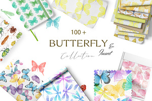 Butterflies collections