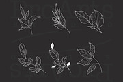 Peony Procreate Tattoo Brush Set, a Brush Add-On by Lucrumplus (Thumbnail 4 of 10)