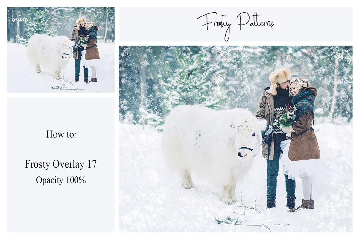 35 PNG Frosty Pattern Overlays, a Texture Graphic by LovePhotoMoment (Photo 7 of 11)