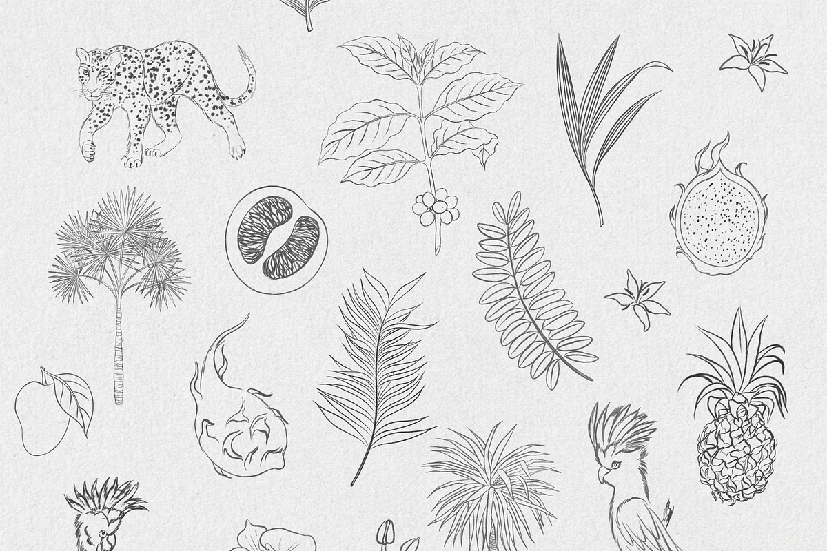 Solana tropical whimsy clipart, an Object Graphic by mila_leev (Photo 9 of 10)