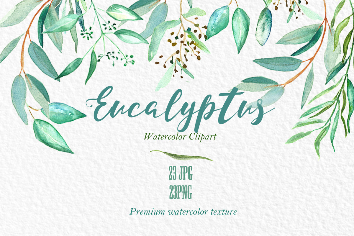 Eucalyptus Watercolor Greenery, a Healthcare Illustration by LABFcreations (Photo 10 of 11)
