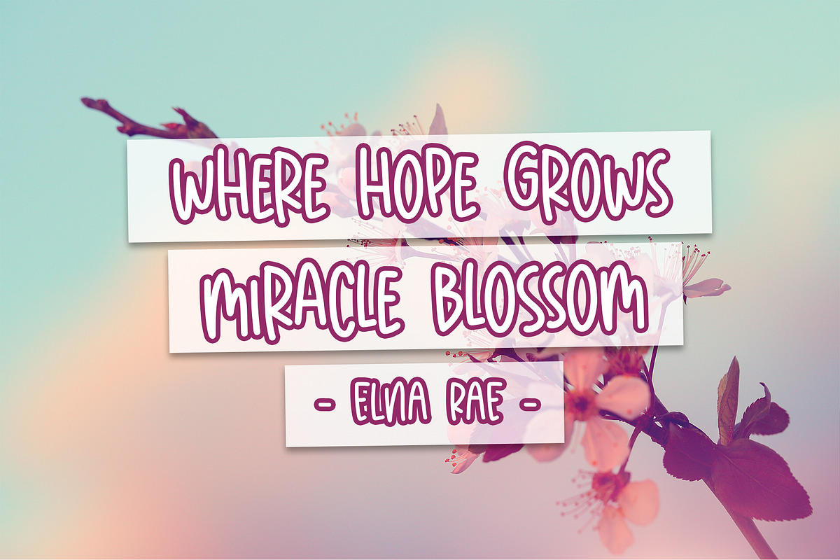 Sakura Blossom, a Sans Serif Font by Dm Studio (Photo 2 of 6)