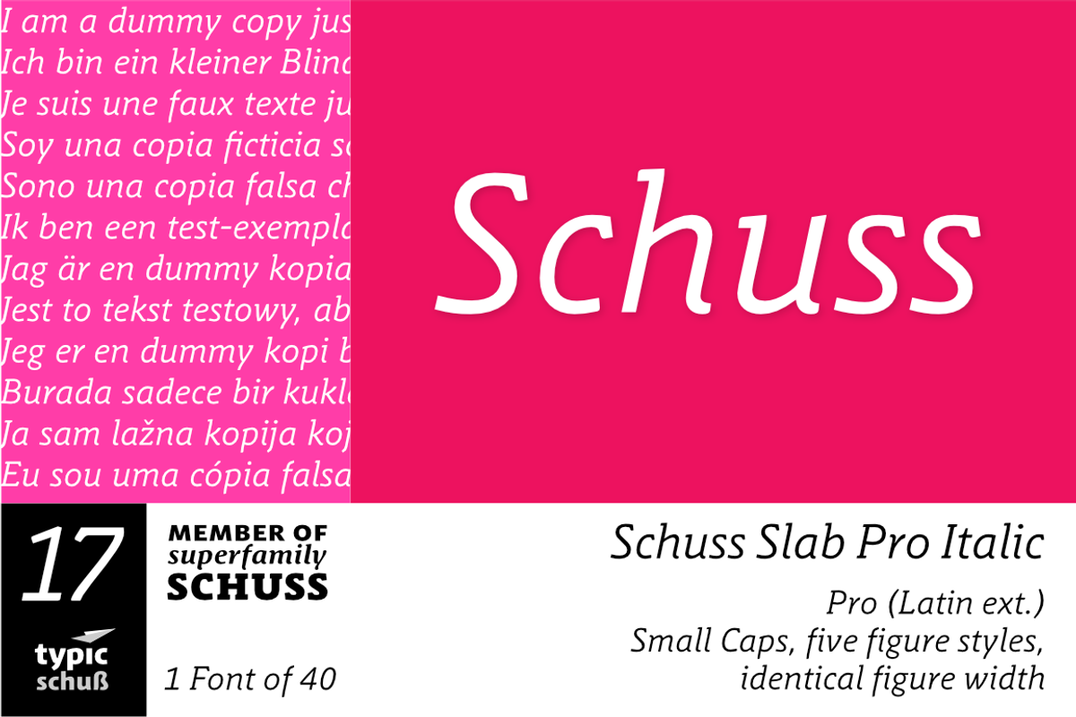 SchussSlabProItalic No.17 (1 Font)