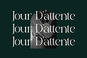 Wargika Modern Stylish Serif Font, a Serif Font by Storytype Studio (Thumbnail 4 of 15)