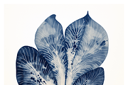 Deca Co - Blue Ink Botanical Shapes, a Texture Illustration by milatovar (Thumbnail 12 of 25)