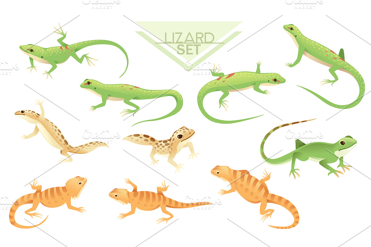 Collection of Green and brown small, an Animal Illustration by Alfmaler