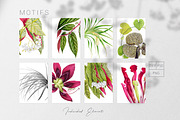 Blómstra, Luxury Spring 2021 Prints!, a Pattern Graphic by Pink Linen (Thumbnail 11 of 14)