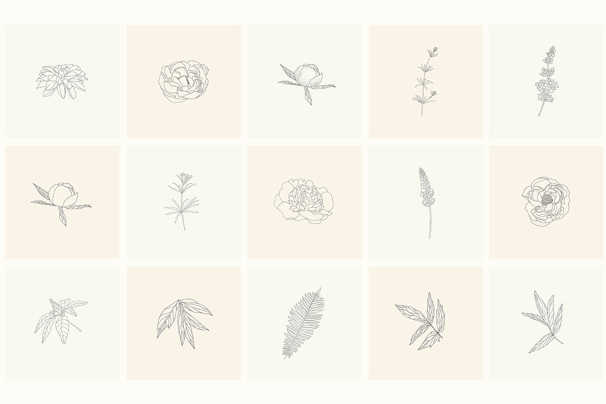 Hand Drawn Floral Elements. Frames, a Seasonal Illustration by Designwork (Photo 6 of 22)