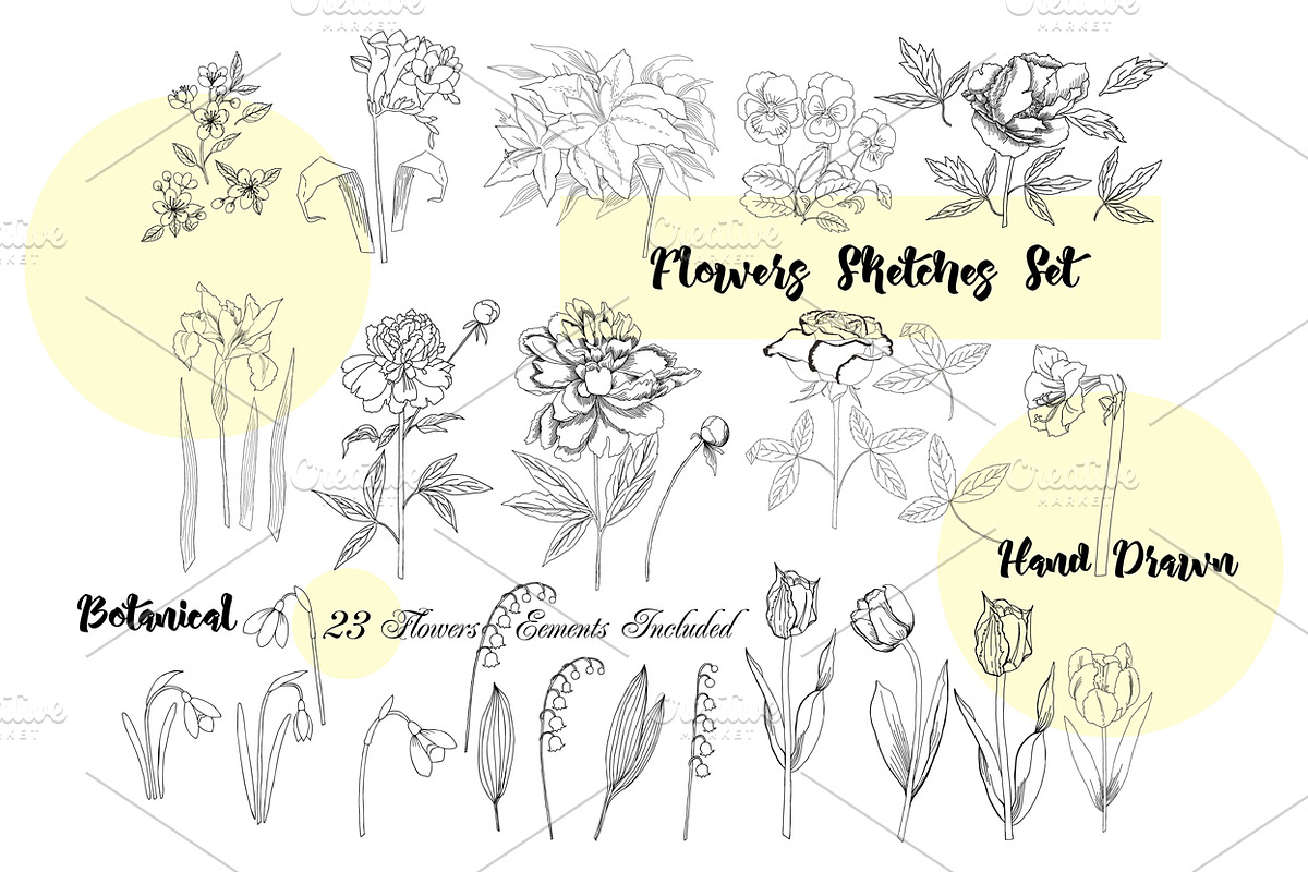 Flowers Sketches Set, a Decorative Illustration by Nataliapiache (Photo 2 of 7)