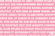 AUTUMN DISPLAY Bold Font, a Font by Blush Font Co. (Thumbnail 5 of 6)
