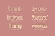 Braden Soft, a Sans Serif Font by Bart Wesolek (Thumbnail 5 of 6)