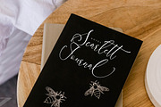 Calture Rowasn Font Duo, a Font by Storytype Studio (Thumbnail 2 of 15)