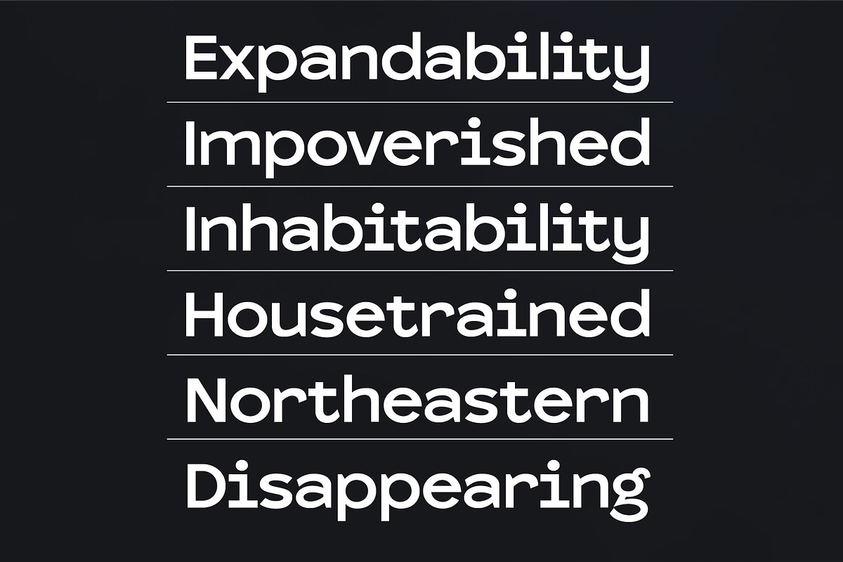 Nomad Modern Sans Serif, a Font by PeanutButter Type (Photo 1 of 8)