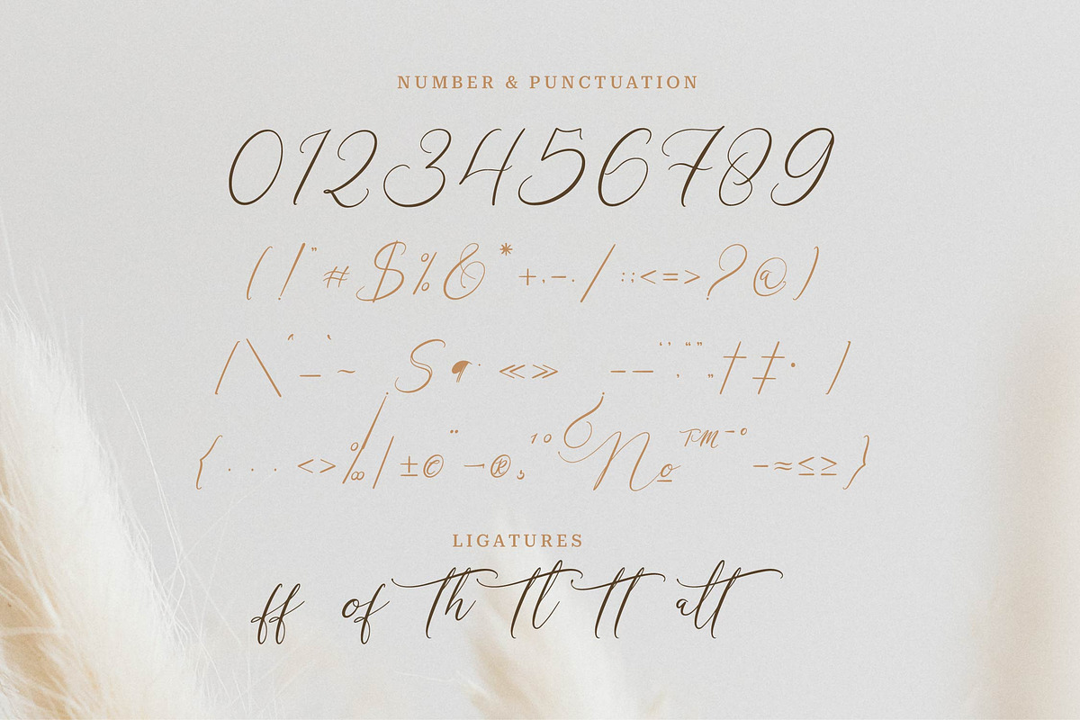 Galteniya | Beautiful Script, a Script Font by Denustudios (Photo 13 of 15)