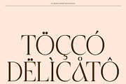 CS Asena – Elegant Serif Font, a Serif Font by Craft Supply Co. (Thumbnail 5 of 8)