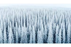 Aerial view of a dense forest, an Animal Illustration by Sergey Kotenev
