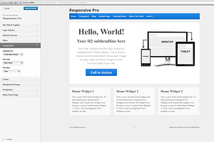 Responsive Pro WordPress Theme