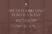 Maven Elegant Serif Font Typeface, a Serif Font by Perfectype (Thumbnail 10 of 10)