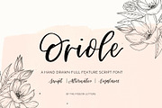 Oriole Script Font, a Script Font by The Pigeon Letters (Thumbnail 1 of 14)