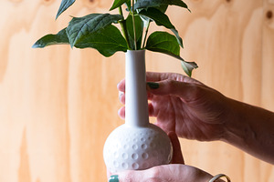 Soft Spring Still Life – Minimal