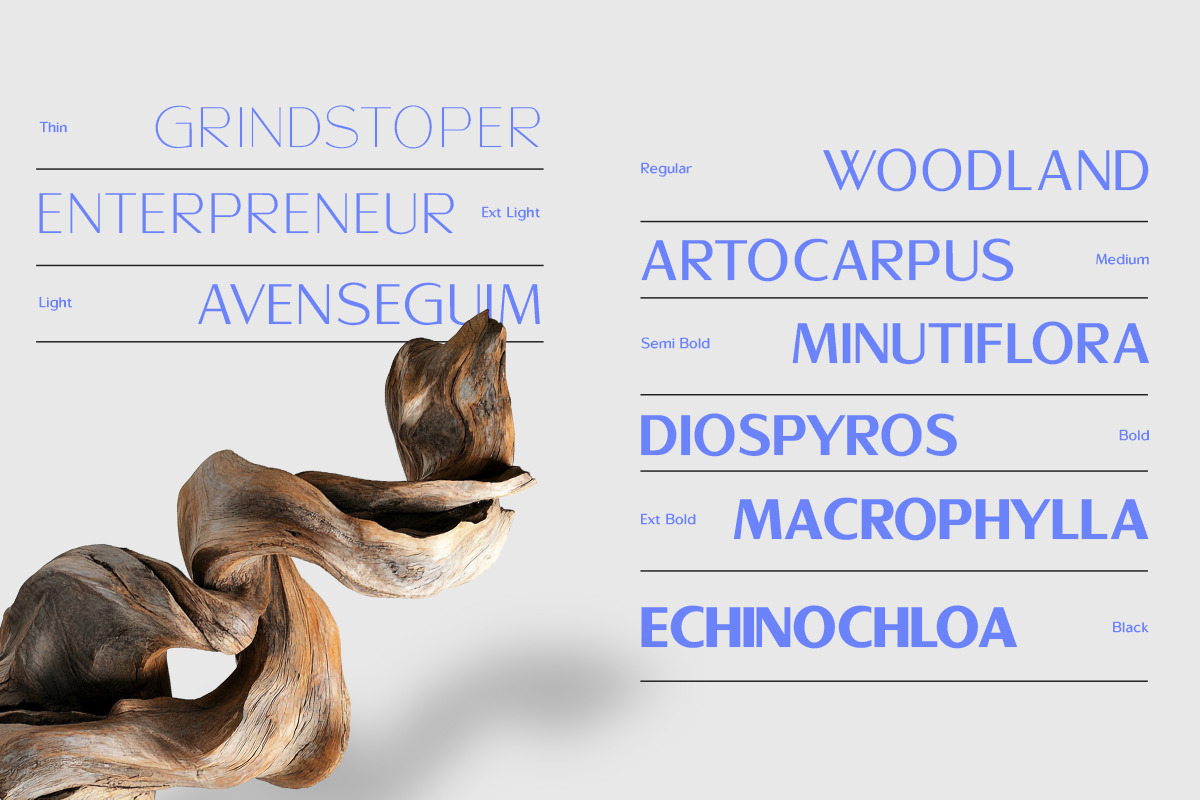 Sallona - Variable Sans Serif Font, a Sans Serif Font by MasaType (Photo 3 of 10)