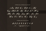 Mastery Elegant Script Font, a Script Font by Elegant Font (Thumbnail 8 of 8)