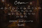 Calligain Handwritten Font, a Handwritten Font by Basnistudio (Thumbnail 9 of 11)