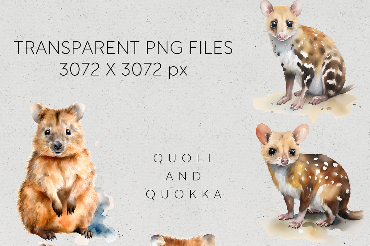 Bulk Australian Animals Clipart PNG, an Animal Illustration by Pawcasso's Portraits (Photo 5 of 10)