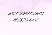 Charlotte Ornamental Calligraphy, a Handwritten Font by UICreative (Thumbnail 4 of 12)