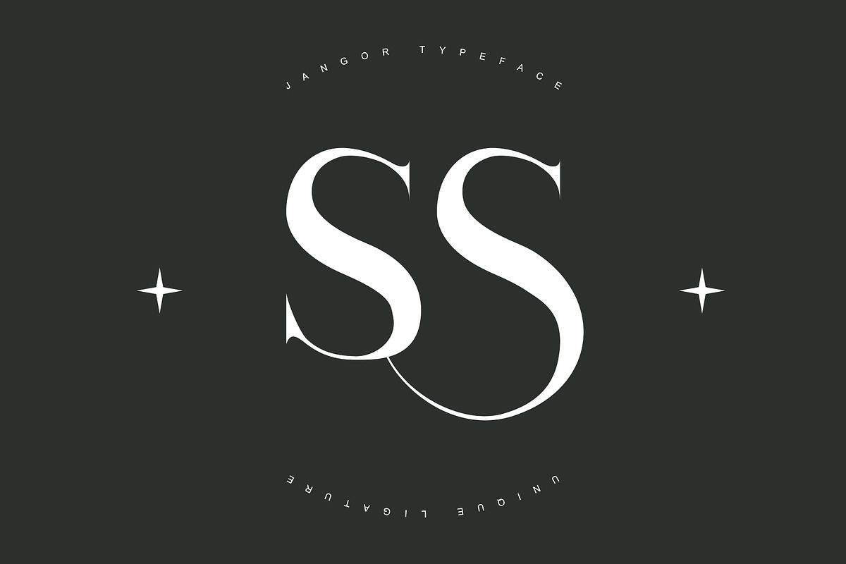 Jangor ligature serif typeface, a Serif Font by yaqublekker (Photo 6 of 10)