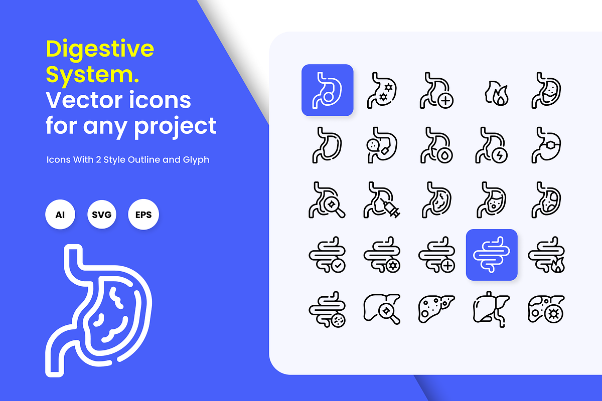 Digestive System Icons, a Duotone Icon by HacaStudio