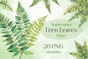 Watercolor Fern Green Leaves Clipart